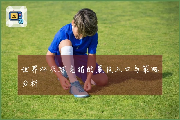 世界杯买球竞猜的最佳入口与策略分析