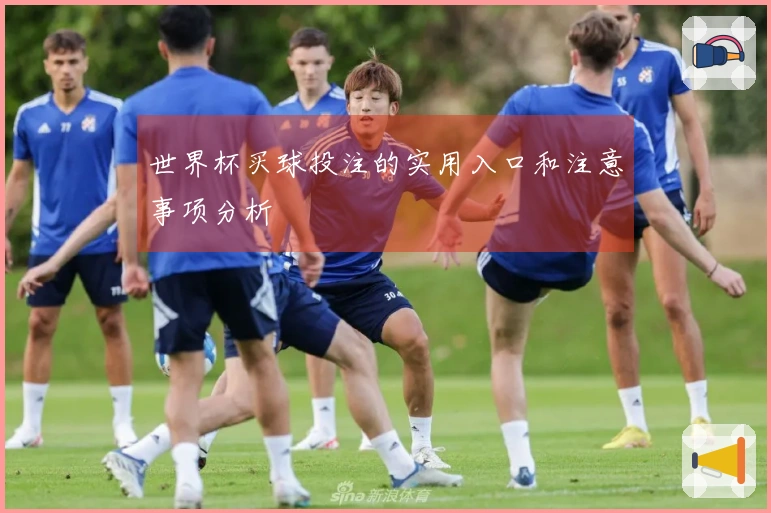 世界杯买球投注的实用入口和注意事项分析