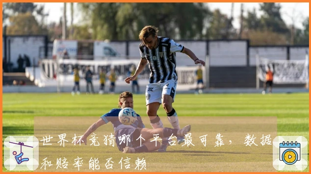 世界杯竞猜哪个平台最可靠，数据和赔率能否信赖