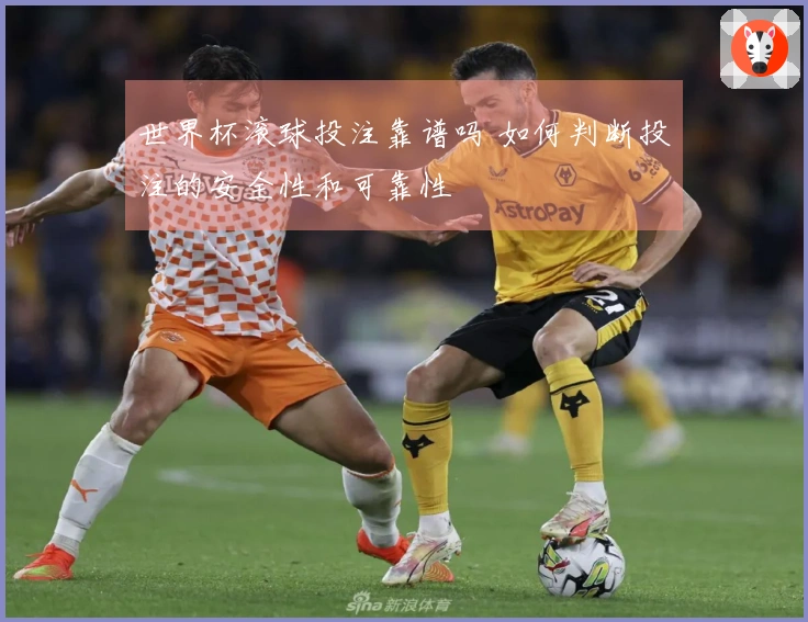 世界杯滚球投注靠谱吗 如何判断投注的安全性和可靠性