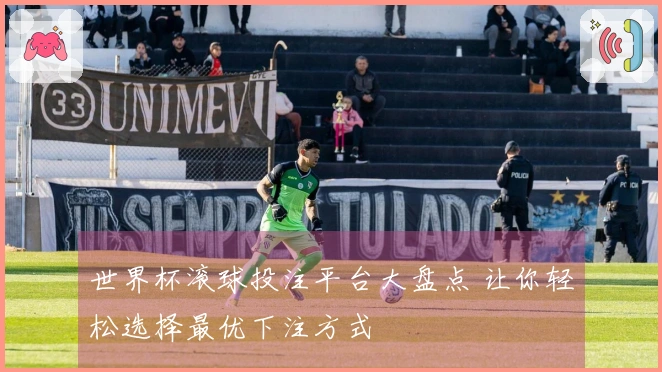 世界杯滚球投注平台大盘点 让你轻松选择最优下注方式