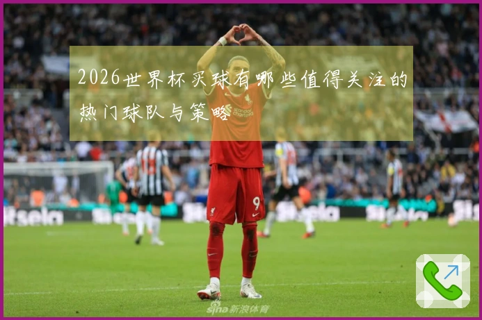 2026世界杯买球有哪些值得关注的热门球队与策略