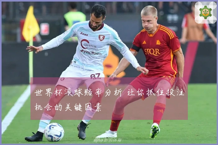 世界杯滚球赔率分析 让你抓住投注机会的关键因素