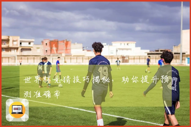 世界杯竞猜技巧揭秘，助你提升预测准确率
