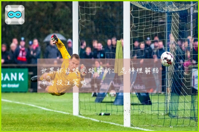 世界杯让球买球解析:怎样理解赔率与投注策略