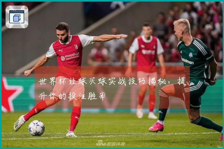 世界杯让球买球实战技巧揭秘，提升你的投注胜率
