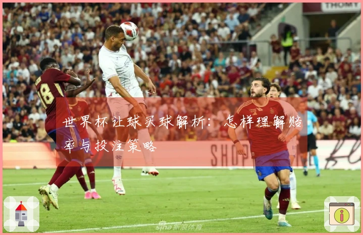 世界杯让球买球解析：怎样理解赔率与投注策略