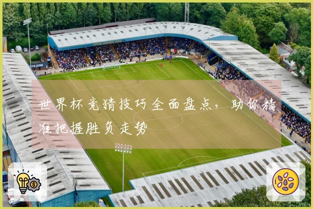 世界杯竞猜技巧全面盘点，助你精准把握胜负走势