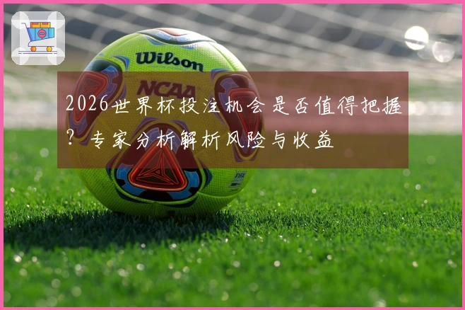 2026世界杯投注机会是否值得把握？专家分析解析风险与收益