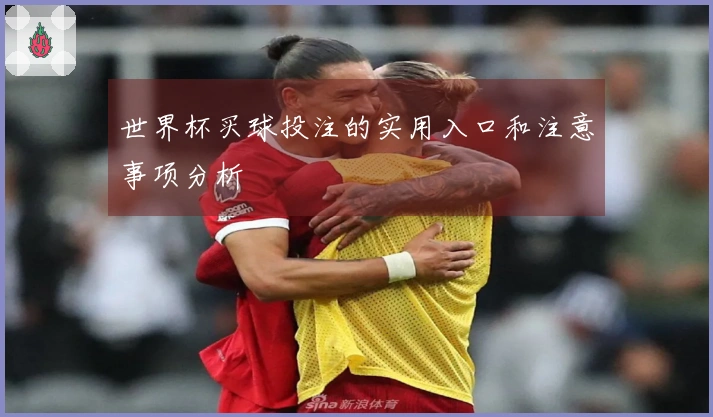 世界杯买球投注的实用入口和注意事项分析