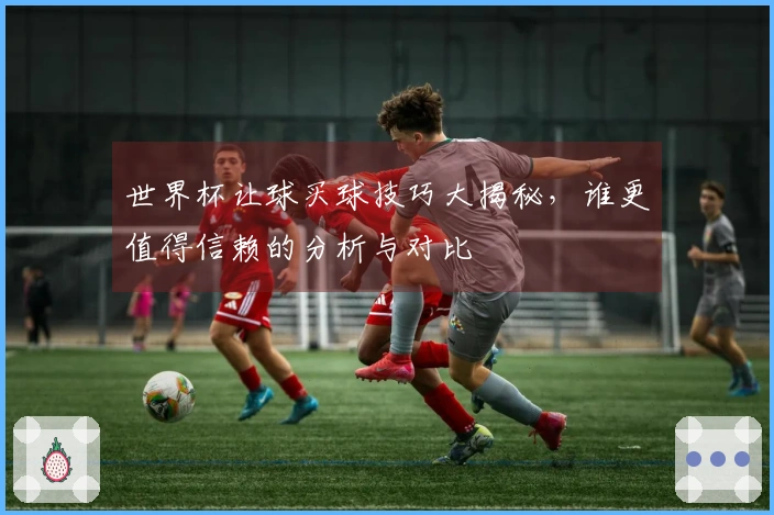 世界杯让球买球技巧大揭秘，谁更值得信赖的分析与对比