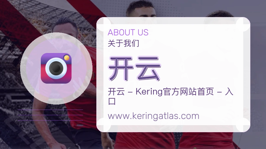 品牌记录